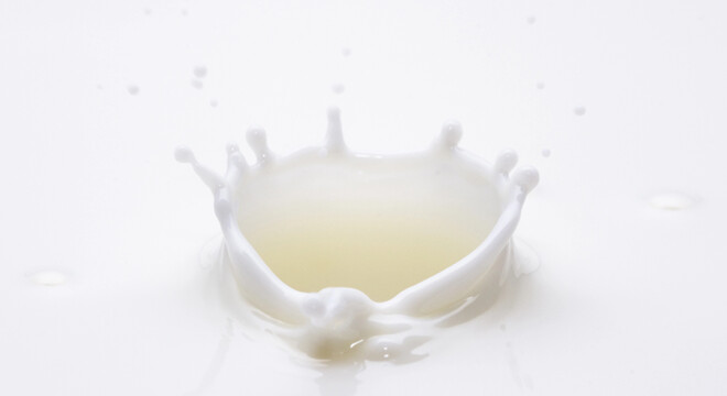 Ekspres ciśnieniowy do kawy Rheavendors a mleko w proszku do kawy. Czy jest zdrowe?