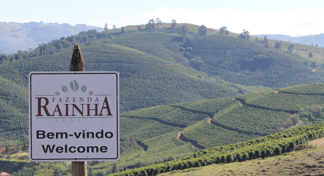 Dlaczego kawa drożeje? 2024-2025