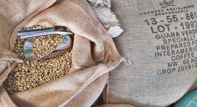 Kawa zielona - co warto wiedzieć?