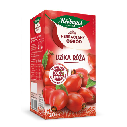 Herbaciany Ogród dzika róża