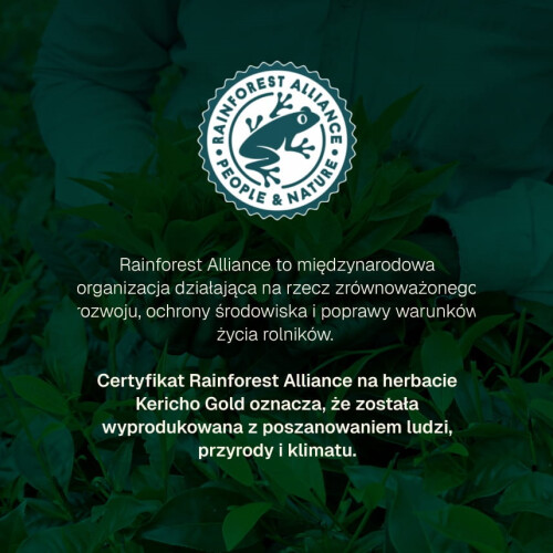 Kericho Gold – Czarna Herbata Kenijska 50 okrągłych torebek