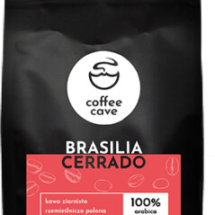 Kawa mielona Brazylia Cerrado 250g